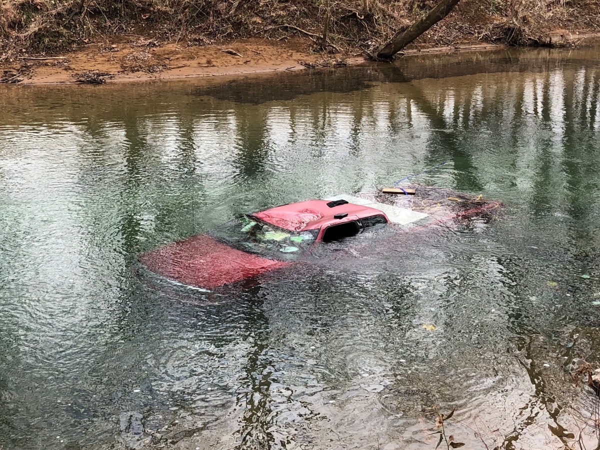 That is not a&nbsp;FISH!!